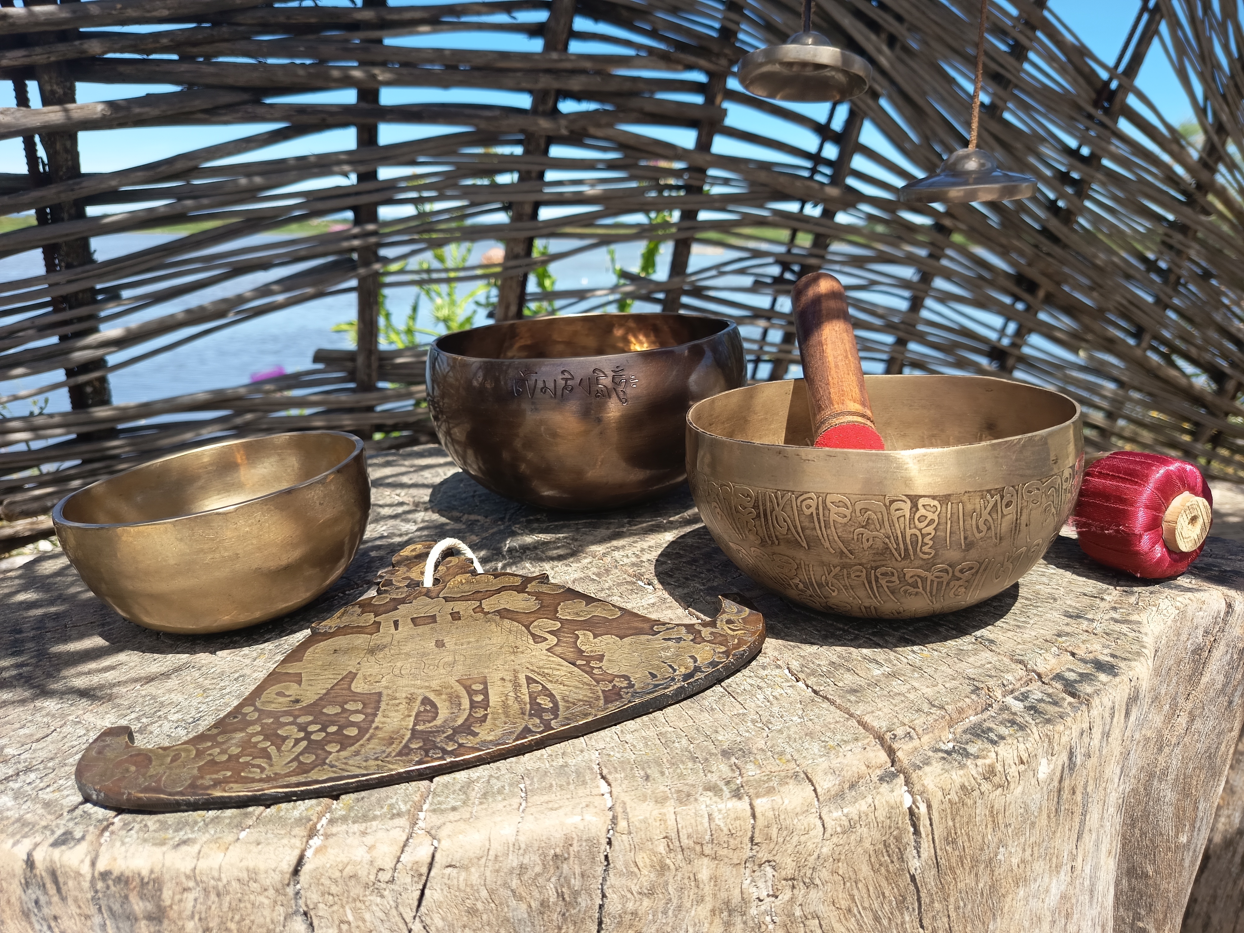 Voyage sonore collectif  aux bols tibétains & aux gongs - Une expérience immersive